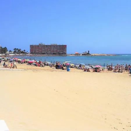 Cosy Near Apartment Torrevieja