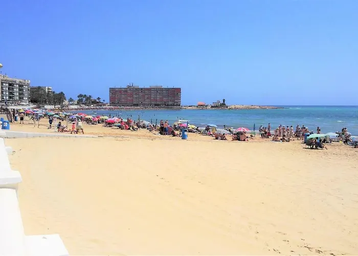 Cosy Near Apartment Torrevieja